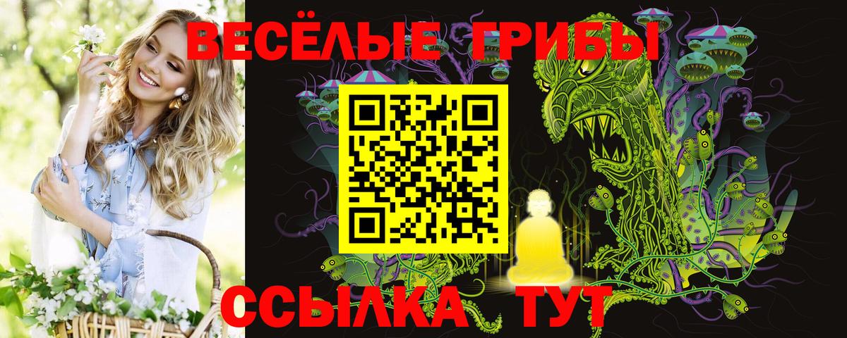 Псилоцибиновые грибы GOLDEN TEACHER  Вход с VPN  Ревда 